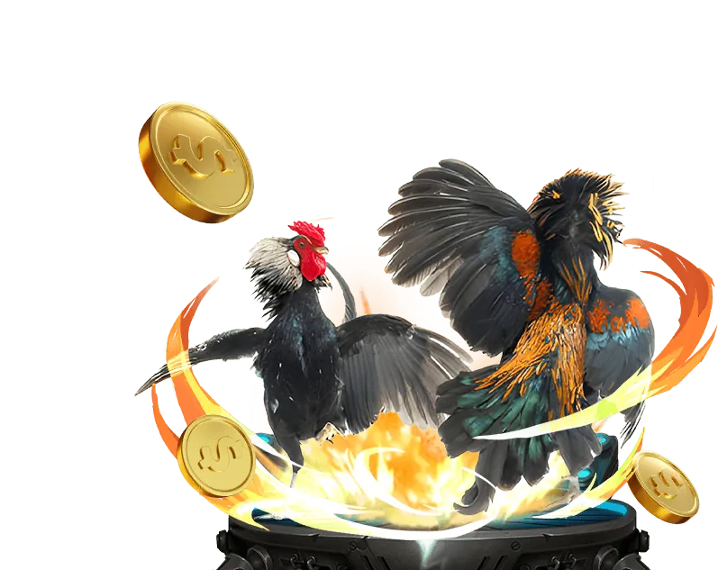 Đa Dạng Sảnh Đá Gà